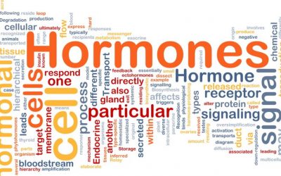 Wat zijn HORMONEN- DISBALANS hormonen- Wat te doen?